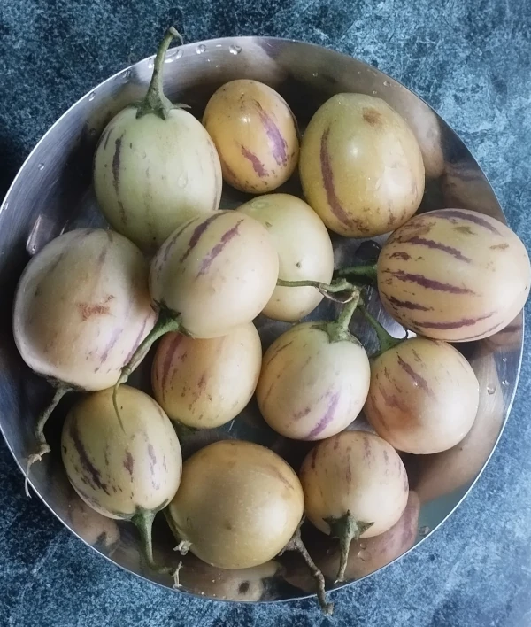 Pepino Melon in Nepal