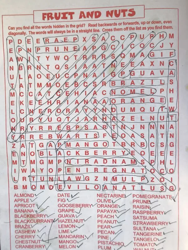 Word Search Grid with Kids
